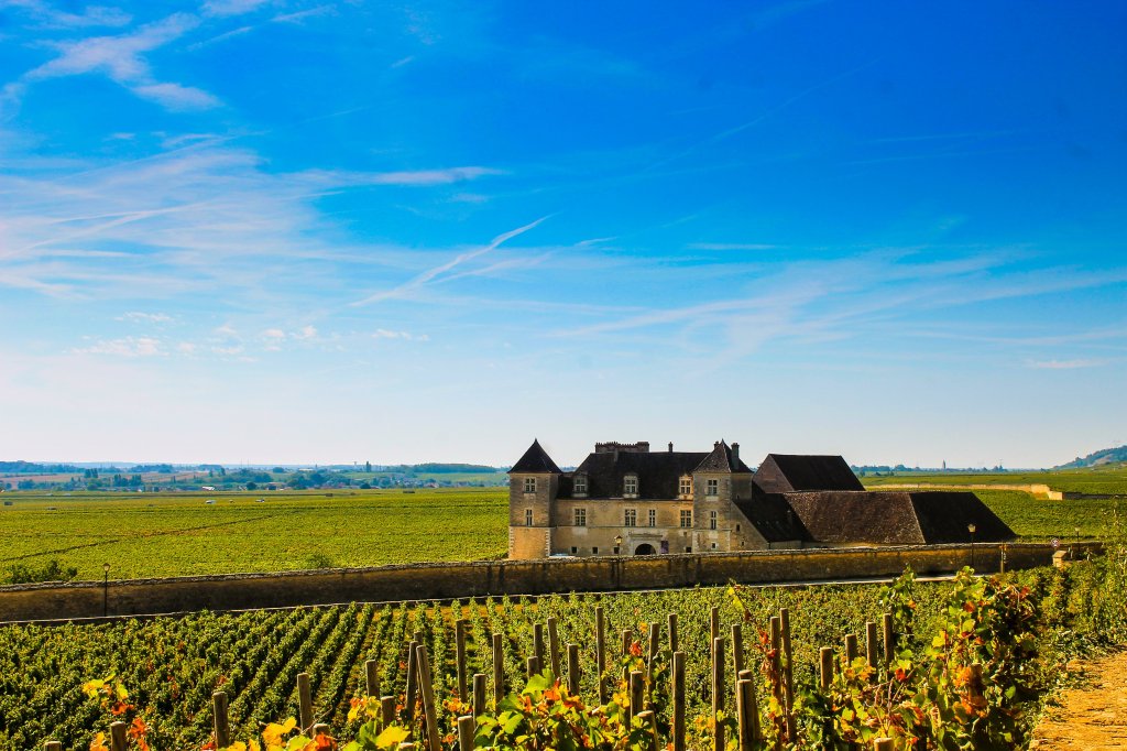 Viaggio enogastronomico in Borgogna: un itinerario di 5 giorni tra vigne, cucina e&nbsp;storia